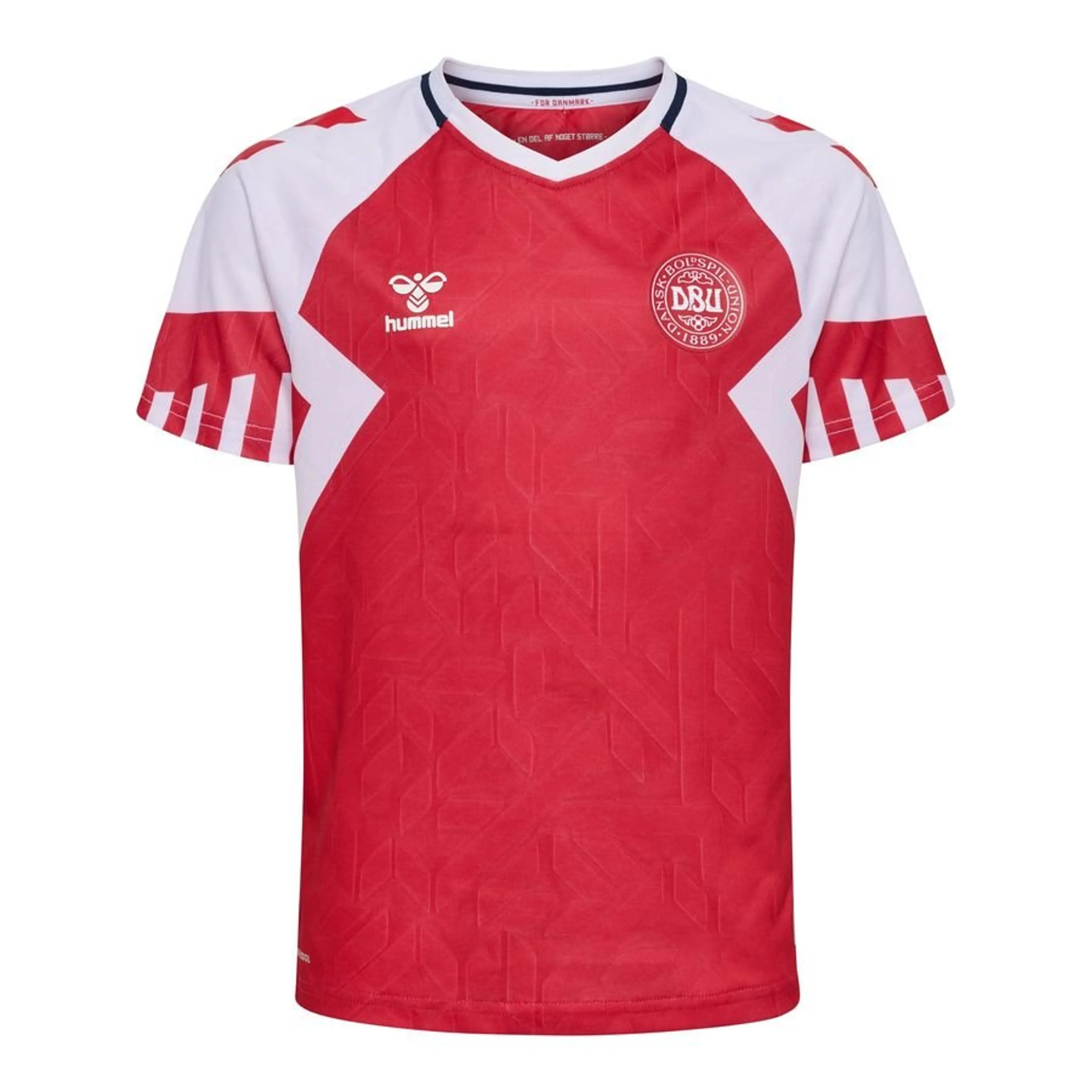 Camisola Principal Dinamarca 2023/24